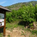 Il monte San Giorgio dalla Croce dei castelli